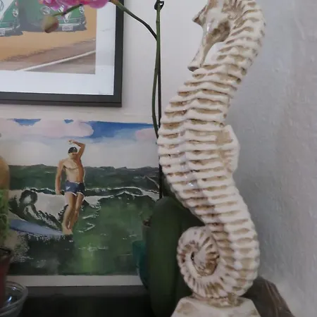 Lufi Surf House Costa Da Caparica Bed & Breakfast Charneca (Setubal)